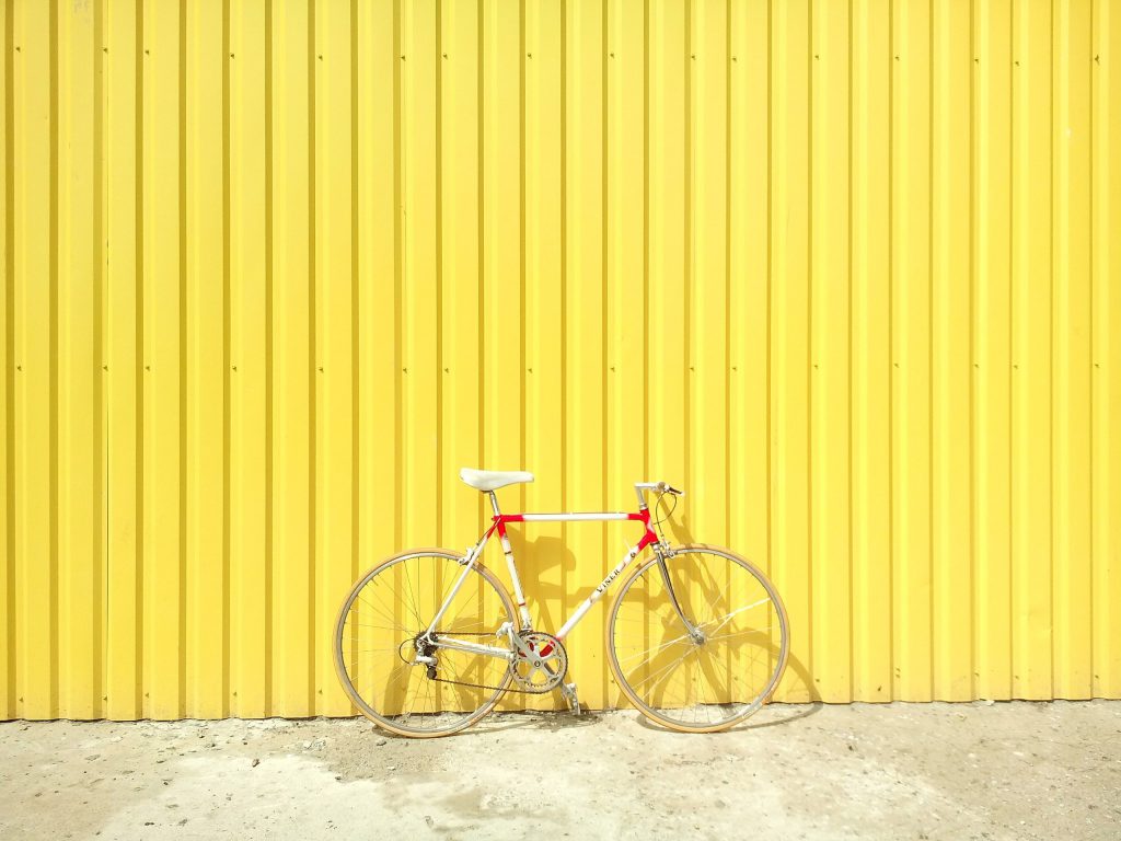 Circulação em bicicleta vai constar do currículo escolar