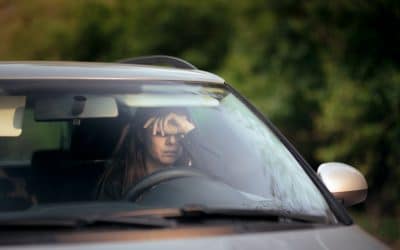 Sono e consumo de álcool: dois problemas ao volante na Europa